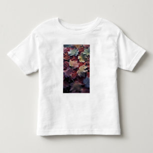 Camiseta De Bebé EE. UU., Pacífico Noroeste. Hojas de arce japonés