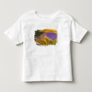 Camiseta De Bebé EE. UU., Pensilvania. Gerbera amarillas, cerca