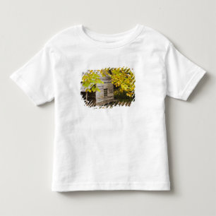 Camiseta De Bebé EE. UU., Tennessee, Gatlinburg. Grandes Smoky