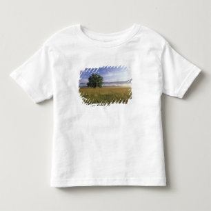 Camiseta De Bebé EE. UU., Tennessee. Grandes Montañas Humeantes