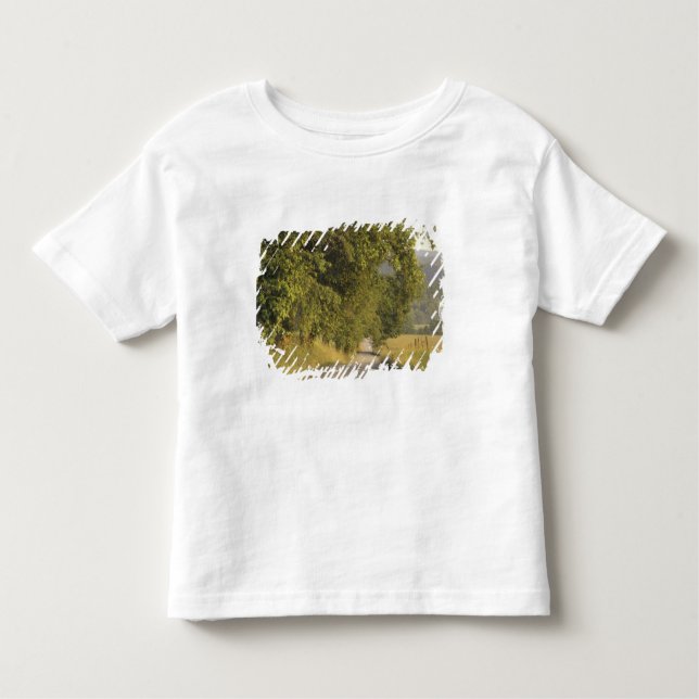 Camiseta De Bebé EE.UU., Tennessee, Great Smoky Mountains National  (Anverso)