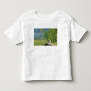 Camiseta De Bebé EE. UU., Tennessee, Great Smoky Mountains NP,
