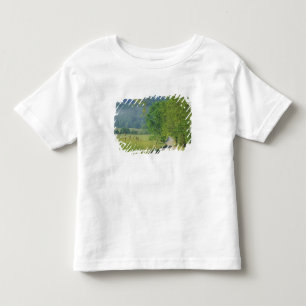 Camiseta De Bebé EE. UU., Tennessee, Great Smoky Mountains NP,