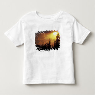 Camiseta De Bebé EE.UU., Tennessee, Great Smoky Mountains NP.2