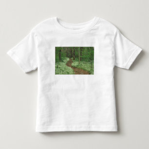 Camiseta De Bebé EE. UU., Tennessee, Great Smoky Mountains NP, 3