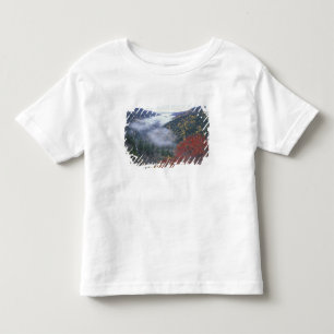 Camiseta De Bebé EE. UU., Tennessee, Parque Nacional Grandes Montañ