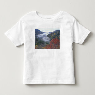 Camiseta De Bebé EE. UU., Tennessee, Parque Nacional Grandes Montañ