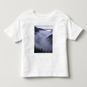 Camiseta De Bebé EE. UU., Tennessee. Parque Nacional Grandes Montañ