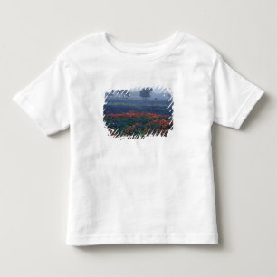Camiseta De Bebé EE. UU., Texas, cerca de Lytle Fog, robles, blue b