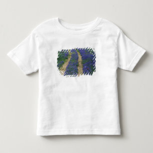 Camiseta De Bebé EE. UU., Texas, cerca de Marble Falls, huellas en 
