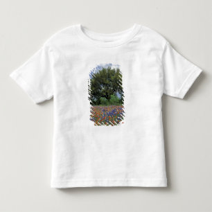 Camiseta De Bebé EE. UU., Texas, Marble Falls Paintbrush y