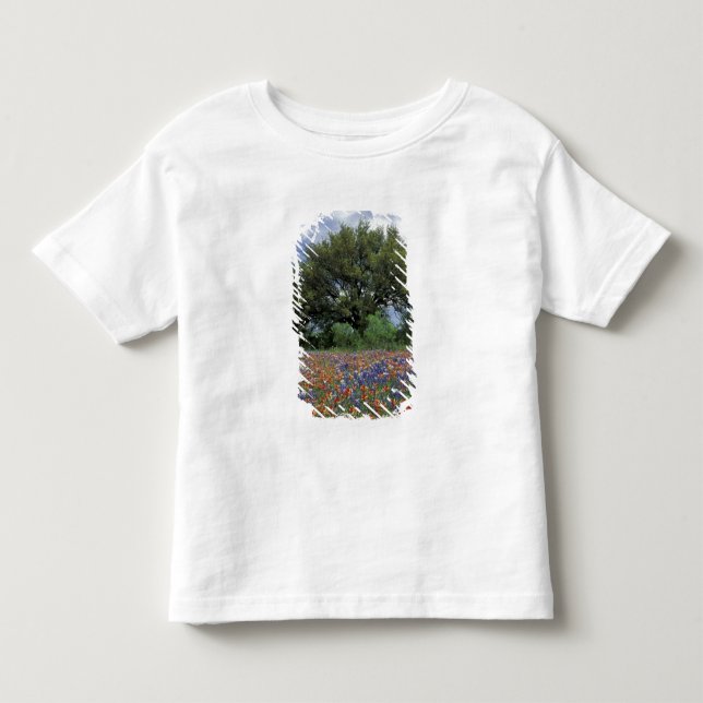 Camiseta De Bebé EE. UU., Texas, Marble Falls Paintbrush y (Anverso)
