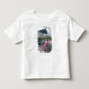 Camiseta De Bebé EE. UU., Texas, Parque Nacional Big Bend. Florecie