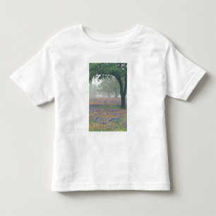 Camiseta De Bebé EE. UU., Texas. Pincel de Texas y bluebonnets