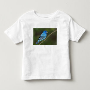 Camiseta De Bebé EE. UU., Texas, South Padre Island