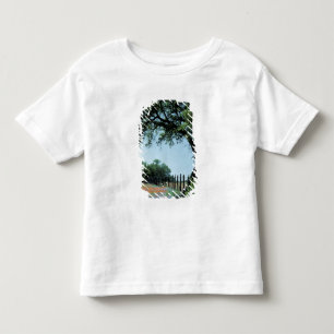 Camiseta De Bebé EE. UU., Texas, Texas Hill Country Paintbrush y