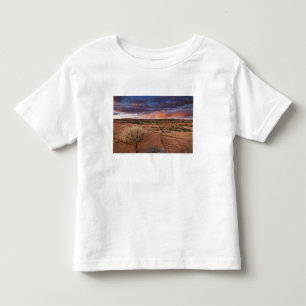 Camiseta De Bebé EE. UU., Utah. Atardecer en Poison Spider Mesa cer
