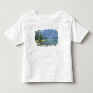 Camiseta De Bebé EE. UU., Utah, Bosque Nacional Ashley, High Uintas