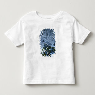 Camiseta De Bebé EE. UU., Utah, Bosque Nacional Wasatch-Catch,
