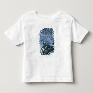 Camiseta De Bebé EE. UU., Utah, Bosque Nacional Wasatch-Catch,