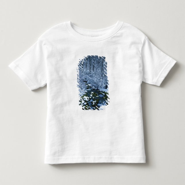 Camiseta De Bebé EE. UU., Utah, Bosque Nacional Wasatch-Catch, (Anverso)