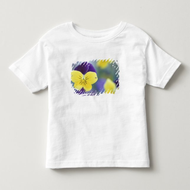 Camiseta De Bebé EE. UU., Utah, Cache Valley Detalle de una Johnny  (Anverso)