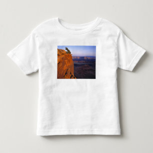 Camiseta De Bebé EE. UU., Utah, Dead Horse Point SP. Luz tardía se 
