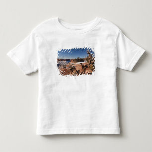 Camiseta De Bebé EE. UU., Utah, Moab. Parque Nacional Canyonlands,