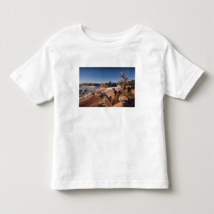 Camiseta De Bebé EE. UU., Utah, Moab. Parque Nacional Canyonlands,