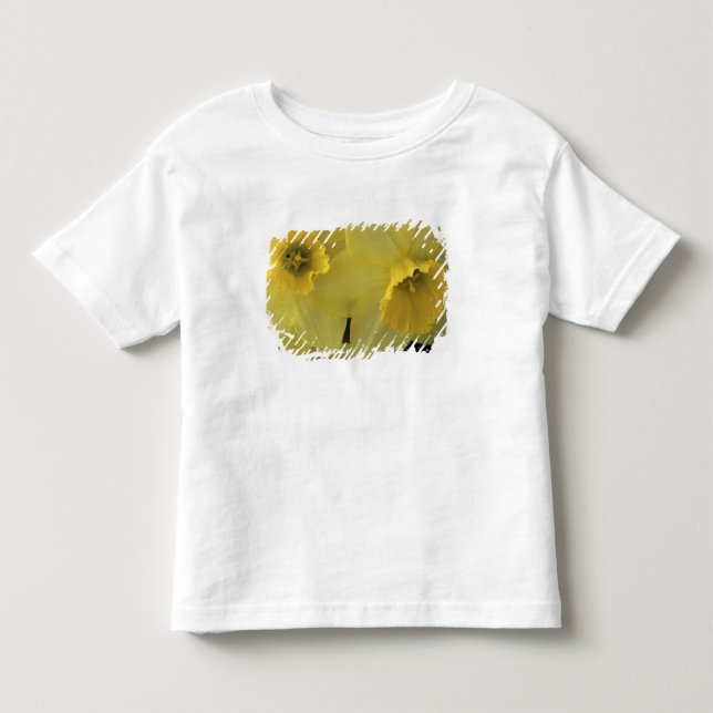 Camiseta De Bebé EE. UU., Utah, narcisos de Cache Valley (Anverso)
