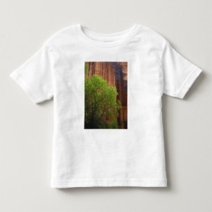 Camiseta De Bebé EE. UU., Utah, Paria Canyon- Vermillion Cliffs