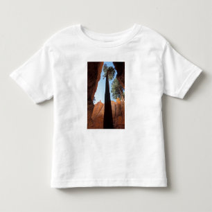 Camiseta De Bebé EE. UU., Utah, Parque Nacional Bryce Canyon. Alto