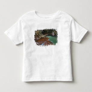Camiseta De Bebé EE.UU., Utah, Parque Nacional Zion. Escena de 3