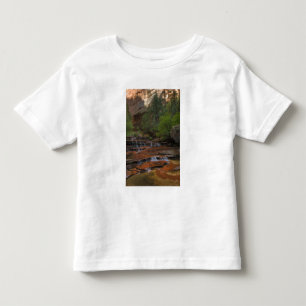 Camiseta De Bebé EE. UU., Utah, Parque Nacional Zion.  Escénico des