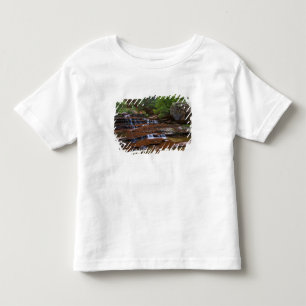 Camiseta De Bebé EE. UU., Utah, Parque Nacional Zion. Escénico desd