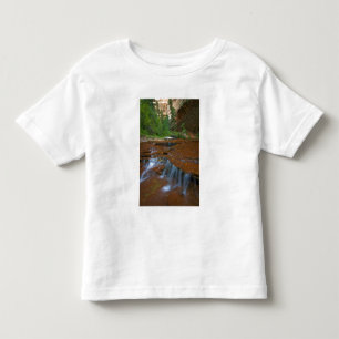 Camiseta De Bebé EE. UU., Utah, Parque Nacional Zion. Escénico desd