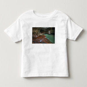Camiseta De Bebé EE. UU., Utah, Parque Nacional Zion. Escénico desd