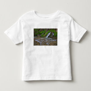 Camiseta De Bebé EE. UU., Utah, Parque Nacional Zion. Grandes manan