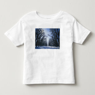Camiseta De Bebé EE. UU., Utah, Salt Lake City, Liberty Park,