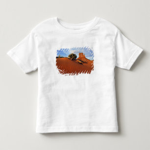 Camiseta De Bebé EE. UU., Utah, Valle de los Monumentos. El viento 