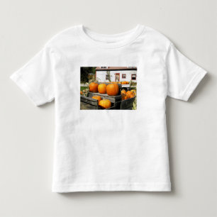 Camiseta De Bebé EE. UU., Vermont. Calabazas
