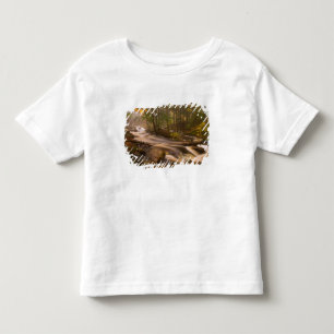 Camiseta De Bebé EE. UU., Vermont, East Arlington, Corrientes fluvi