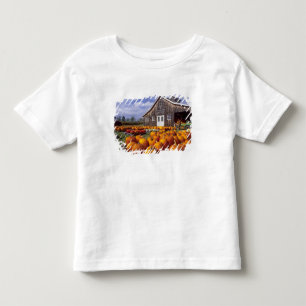 Camiseta De Bebé EE. UU., Vermont, Shelbourne, Calabazas