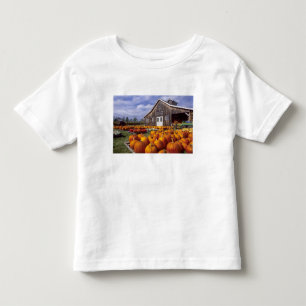 Camiseta De Bebé EE. UU., Vermont, Shelbourne, Calabazas