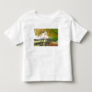 Camiseta De Bebé EE. UU., Vermont. Valla bajo follaje de otoño.