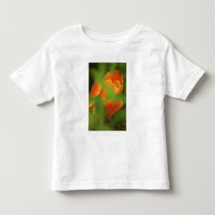 Camiseta De Bebé EE. UU., Virginia, Arlington, primer plano de nara