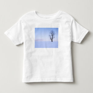 Camiseta De Bebé EE. UU., Virginia, condado de Page, falsa acacia
