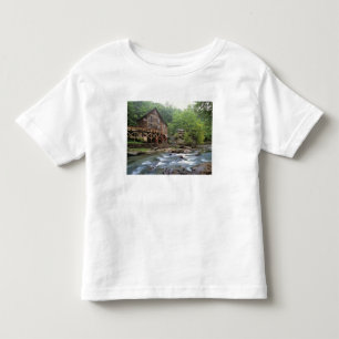 Camiseta De Bebé EE. UU., Virginia Occidental, Babcock SP. Rustic G