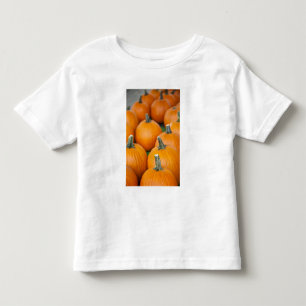 Camiseta De Bebé EE. UU., Virginia Occidental, Charleston. Capitol 