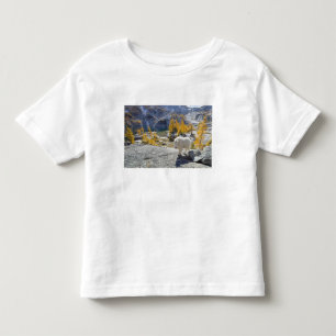 Camiseta De Bebé EE. UU., WA, Alpine Lakes WIlderness Enchantments.